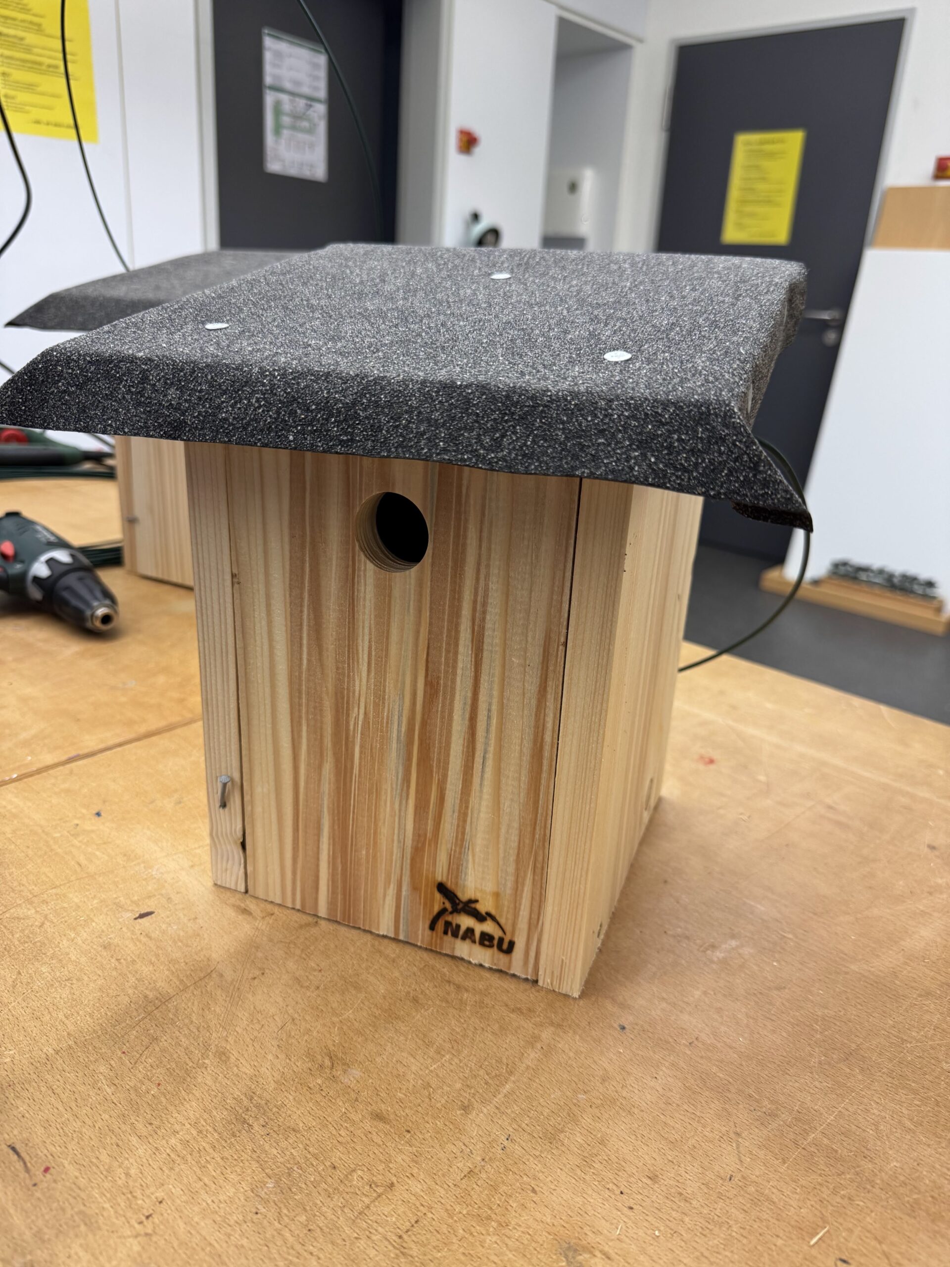 Klasse 6e baut Nistkästen- ein Beitrag zum Schutz der heimischen Vögel